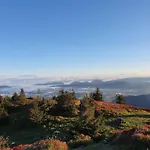 Aparthaus Pinia - Martinske Hole