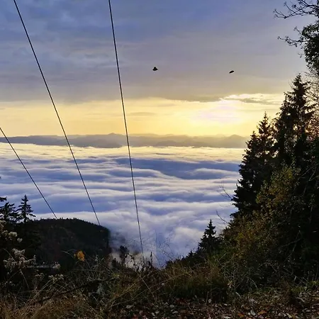 Daire Aparthaus Pinia - Martinské Hole