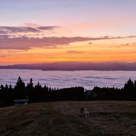 Aparthaus Pinia - * Martinské Hole