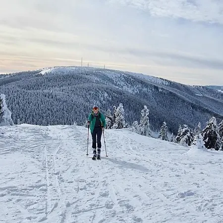 Aparthaus Pinia - Apartmán *