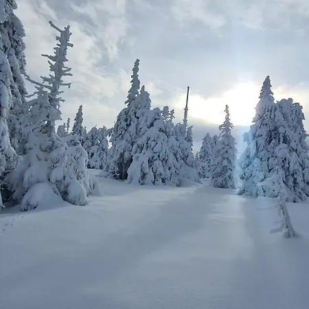 Daire Aparthaus Pinia -