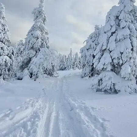 Aparthaus Pinia - Martinske Hole