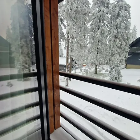 Apartmán Aparthaus Pinia - Martinské Hole