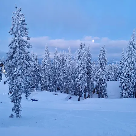 Aparthaus Pinia - * Martinské Hole