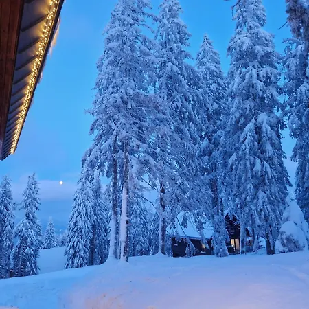 Apartmán Aparthaus Pinia - *