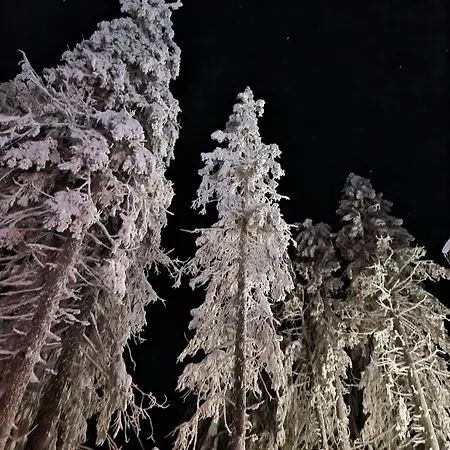 Lejlighed Aparthaus Pinia - *