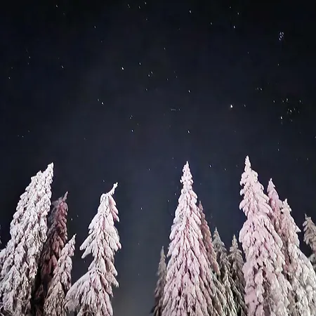 Aparthaus Pinia - Apartmán