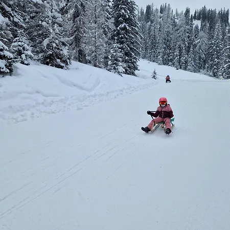 Aparthaus Pinia - Apartmán Martinské Hole