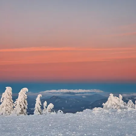 Apartmán Aparthaus Pinia - *