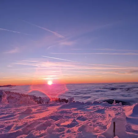 Daire Aparthaus Pinia - Martinské Hole