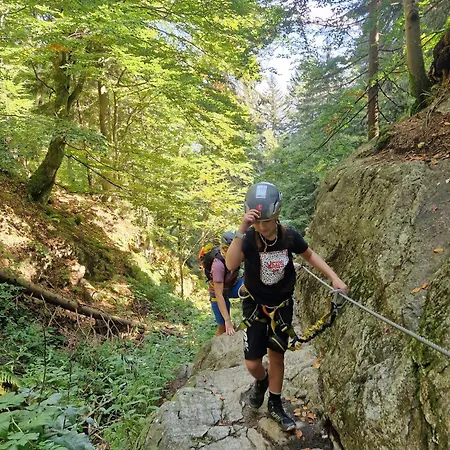 Aparthaus Pinia - Martinské Hole