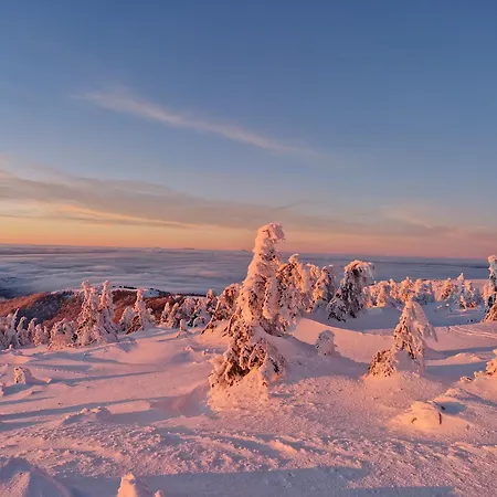 Apartmán Aparthaus Pinia -